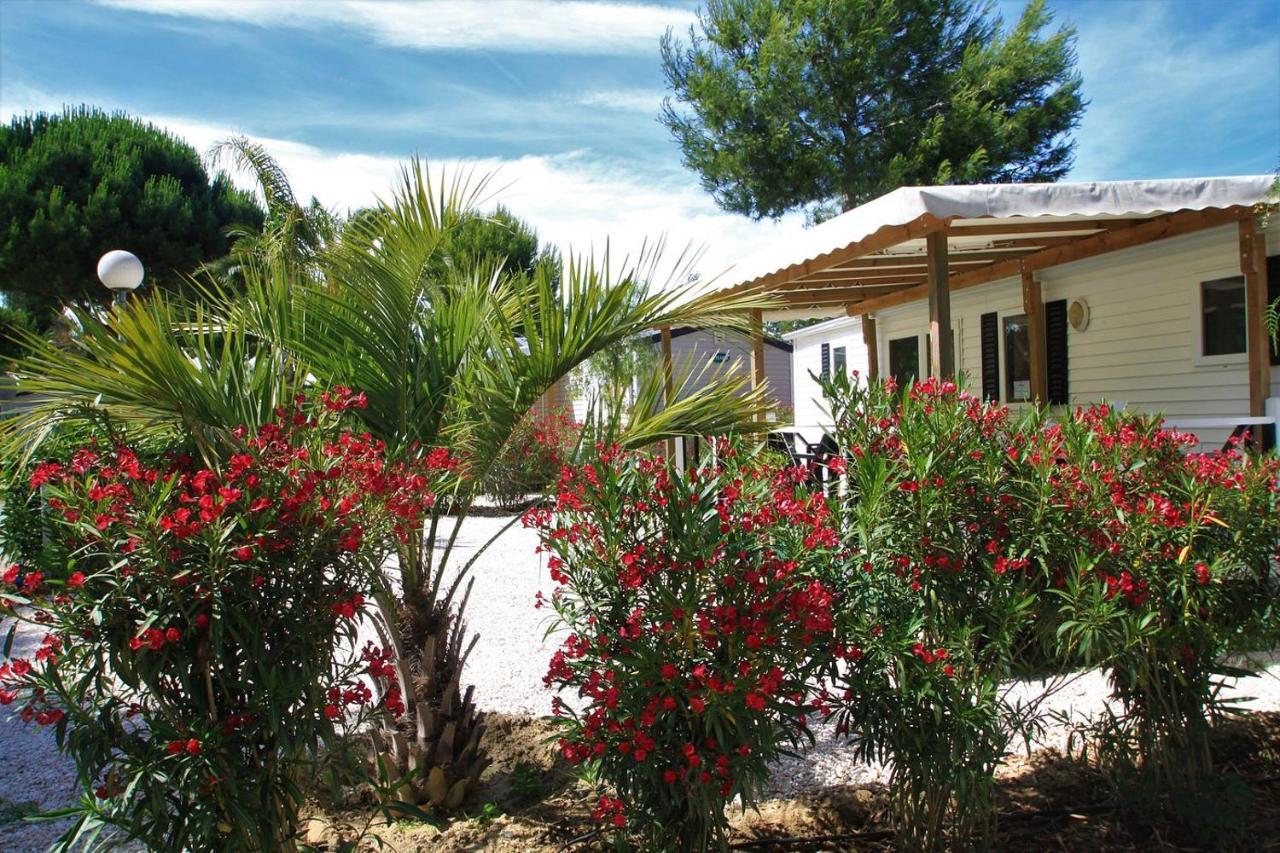 Camping Del Mar 10, Mobil Home Petit Paradis, 6 Personnes, Bord De Mer, Camping Del Mar Village Argeles-sur-Mer Exterior photo